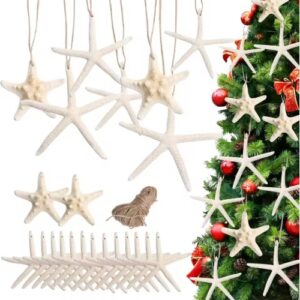 Natural starfish hanging ornaments in mixed sizes