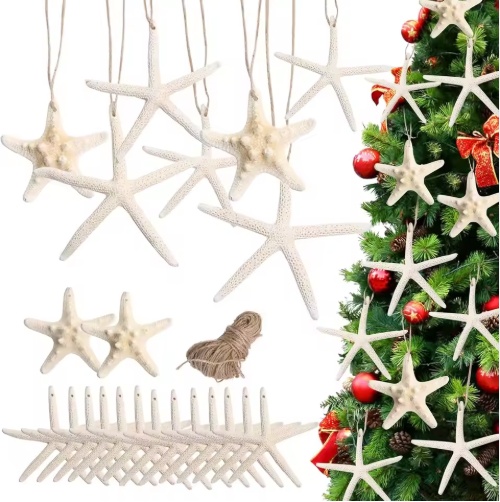 Natural starfish hanging ornaments in mixed sizes